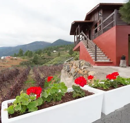 Casa Los Loros Arafo
